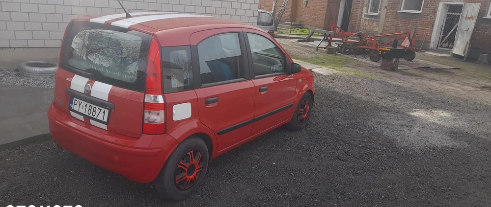 Fiat Panda cena 7000 przebieg: 165000, rok produkcji 2006 z Nysa małe 56